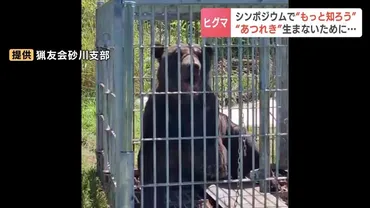 肉食のチャンスがあれば…ヒグマ はそういう動物」人身事故や食害をゼロに゛あつれき゛を生まないために…研究者「問題個体の確実な捕殺」札幌でシンポジウム