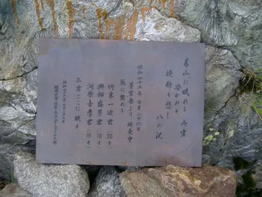 クマの登山者襲撃で知る、その生態