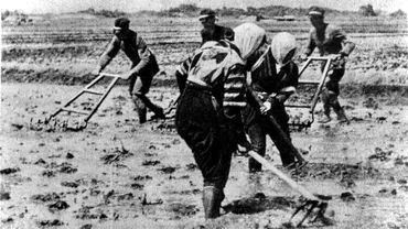 米不足」ゆえに至った太平洋戦争への回帰不能点 真珠湾攻撃の半年前に「仏印進駐」を決めた理由