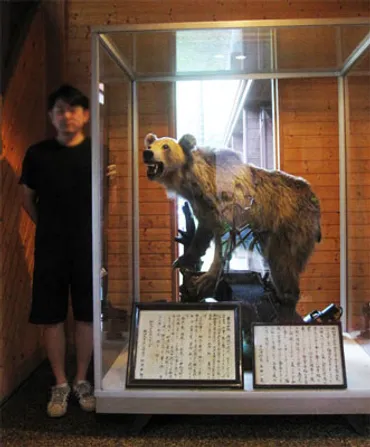 ヒグマ怖すぎ・・・】福岡大学ワンダーフォーゲル部ヒグマ襲撃 50年後の初告白 – 英語まとめ速報