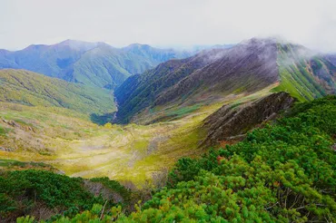 登山中の学生らを執拗に襲ったヒグマとの攻防 「福岡大学ワンダーフォーゲル部ヒグマ事件」とは?
