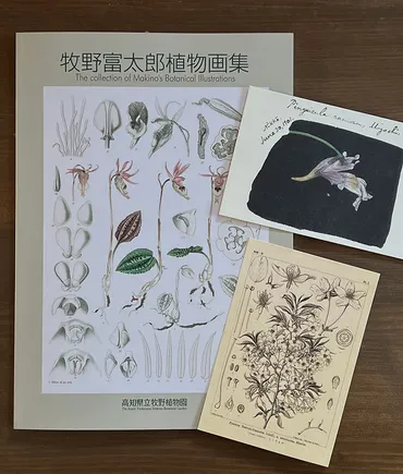 牧野富太郎博士ゆかりの植物に出合える「練馬区立牧野記念庭園」