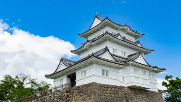 豊臣秀吉から豊臣家と徳川家のどっちにつくかと迫られた大久保忠世は、どう答えたか?(渡邊大門)