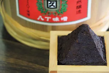 日々の食事にも気を配り、自ら薬を調合。長寿を支えた家康流の「健康管理」【徳川家康 逆転の後半生をひもとく】