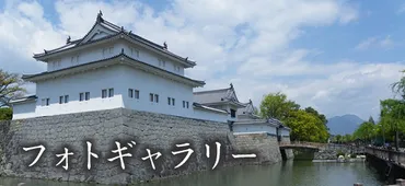 新発見】徳川家康の駿府城の内側から豊臣秀吉が築かせた城を発見!