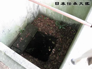 観音寺 仏海上人即身仏