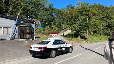 ヒグマ情報】「子グマが動けなくなっている」札幌市南区藤野で親子グマ2頭を駆除 残り1頭の子グマは発見できず