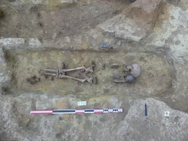 古代ローマ！ワイン？共同墓地？考古学から見える過去、新たな発見とは？2000年の時を超えた発見：古代ローマ都市と埋葬、ワイン