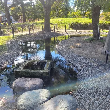 京都】『二条公園』『鵺池』に行ってきました。 伝説 京都旅
