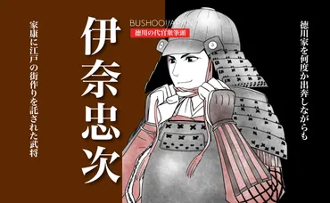 伊奈忠次とは？家康を支え、江戸の礎を築いた名代官の生涯を徹底解説！伊奈忠次：家康に仕え、江戸の街づくりに貢献した代官の功績