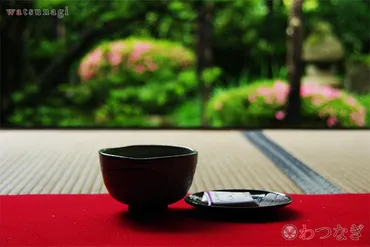 茶の湯】わび茶の大成!茶人千利休。茶の湯から茶道、わび茶の違い簡単説明