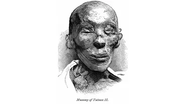 古代エジプト王の墓見つかる、「トトメス2世」の治世探る手がかりに