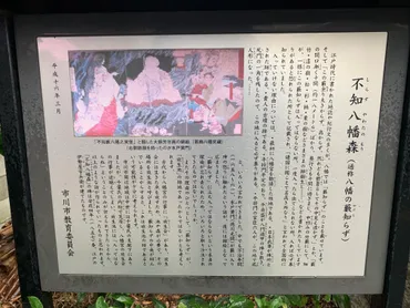 禁足地巡り】入ったら二度と出られない?平将門絡み?ネットで恐れられる「八幡の藪知らず」の意外な正体千葉県本八幡