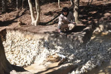 Topics:空前の出土品富雄丸山古墳南東側にも祭祀の場か遺構や埴輪、謎に迫る発見続く