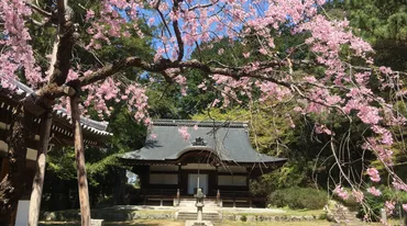 弘川寺【「桜の歌人」こと西行のゆかりのお寺】