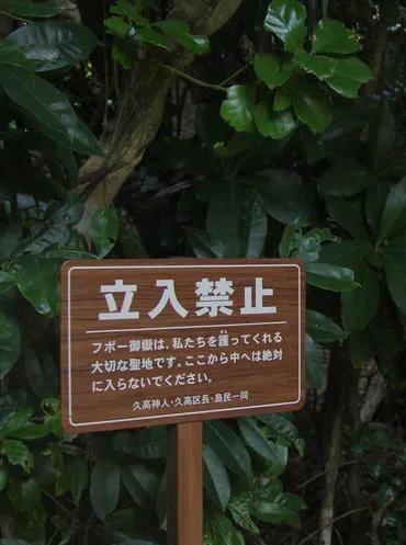 東京から30分の都会の禁足地「八幡の藪知らず」その異様な風景