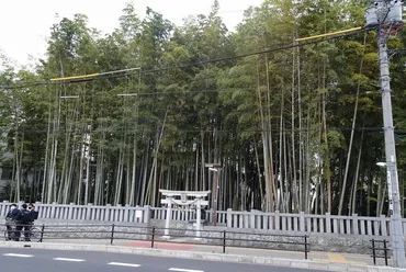 八幡の藪知らずの女子高校生失踪の現在は?入った人は出てこれない?