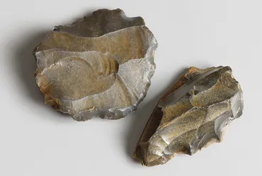 先生の書斎拝見!】扉を開けたら古代エジプトへタイムトリップ!