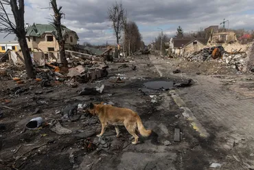 ロシア軍による「ブチャの大量虐殺」発見遺体の割が゛銃殺゛妊婦と子供も犠牲に