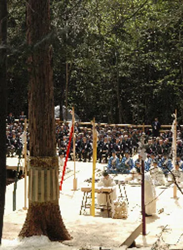 印刷用】御杣始祭で御神木を伐採/伊勢神宮の式年遷宮で