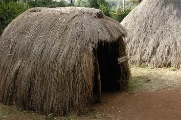 ケニアの世界遺産「ミジケンダのカヤの聖なる森林群」とは?世界遺産マニアが解説