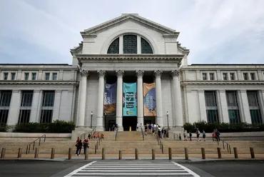 米スミソニアン博物館、有色人種の人体部位を大量収集事務局長が謝罪