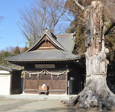 企画展】第回企画展「社寺書類と神社合祀~相模原町の旧町村文書から」