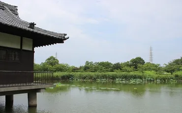 蛇がえの事(蛇池)歴旅こむ