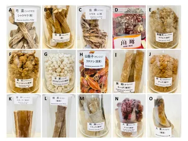 鑑真和上がもたらした漢方薬が現代日本の体系化された漢方薬処方の源流!