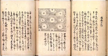 貴重資料展示室高橋至時