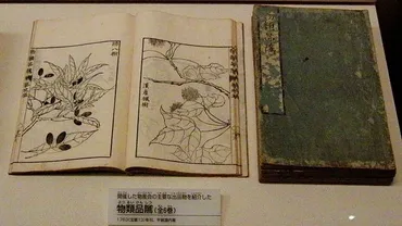 平賀源内」の肩書きが多すぎる!エレキテルやうなぎ、殺傷事件まで、生涯のエピソードを解説【親子で歴史を学ぶ】