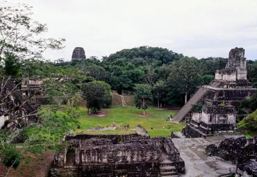 世界の絶景遺産】ジャングルに残されたマヤ文明の神殿群ティカル(グアテマラ)