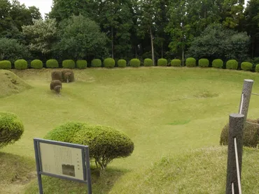 函南遺産:歴史遺産山中城址・岱崎出丸